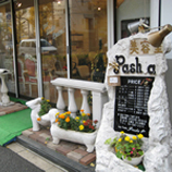 Pasha hair salon