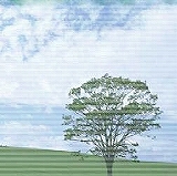 リリース科学工業　　株式会社