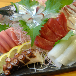 とれたて旬のお造り680円～！その日に出会えた物を仕入れているので、新鮮さバツグン！